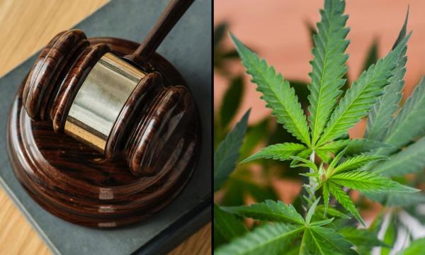 photo of Court Dismisses DEA Marijuana Rescheduling Case, But Judge Says Cannabis Reclassification May Be Coming Anyway image