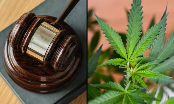 photo of Federal Court Dismisses Marijuana Companies’ Lawsuit Challenging Prohibition, But Says Cannabis Laws Warrant… image