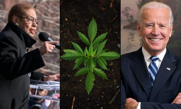 photo of Congresswoman Blasts Biden Decision To Block Marijuana Sales In D.C. image