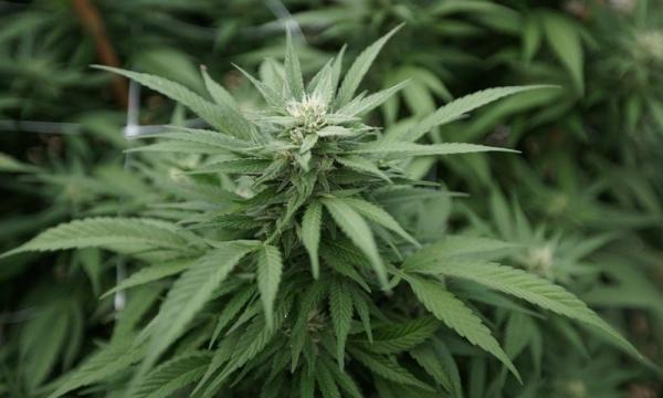 Nevada Lawmakers Weigh Bill To Stop…