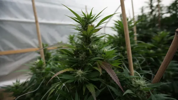 New Hampshire Lawmakers Override&hellip;