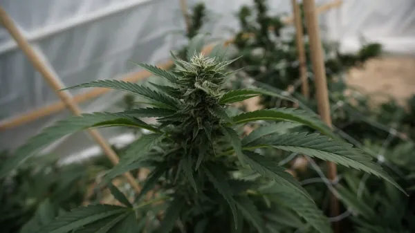 New Hampshire Lawmakers Push To&hellip;