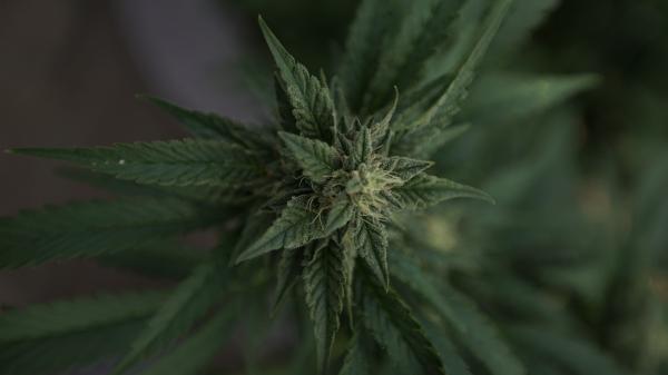 South Dakota Legislative Panel…