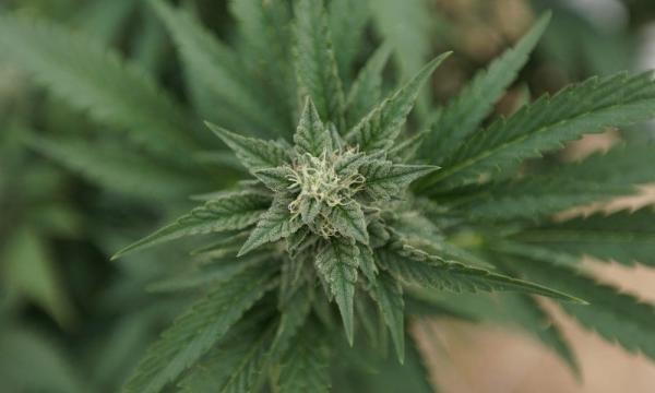 Pennsylvania Lawmakers Clash On…