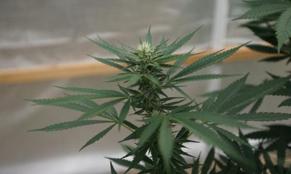 Nebraska Judge Considers Dismissing…