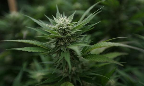Why Do Nebraska Lawmakers Want To Change…