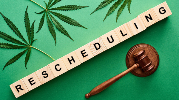 DEA Judge Stays Marijuana Scheduling…