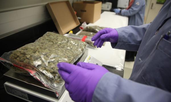 photo of Measurement Standards Group To Vote On Adding Cannabis Moisture Loss Proposal To Federal Handbook image