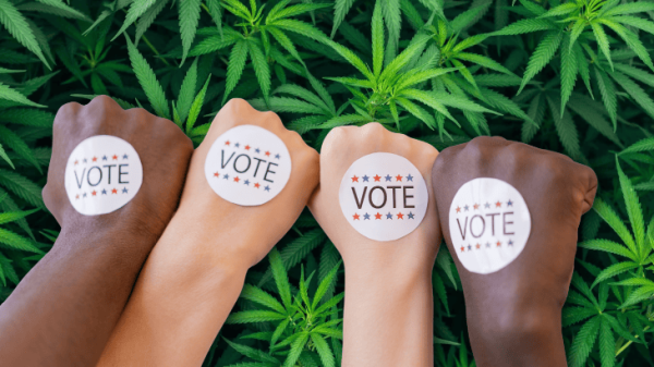 Marijuana Midterms Alert: Double Your…