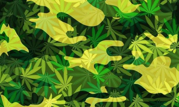 Congress Abandons Effort To Let VA…