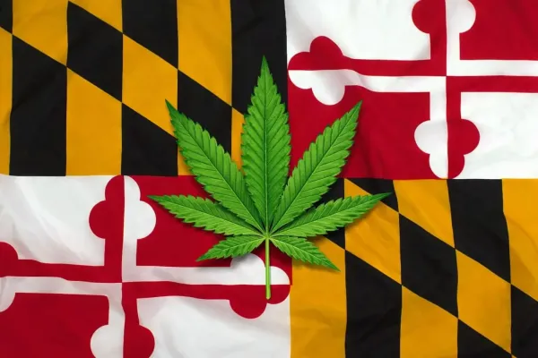 Maryland Adopts New Marijuana Rules…
