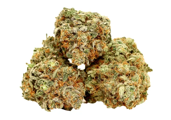 Maryland Cannabis Administration Opens…