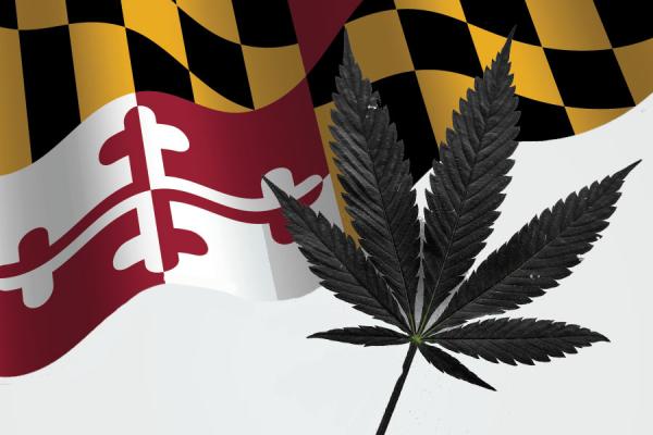 photo of Maryland marijuana sales continue to bloom with $100 million in August image