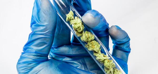 Mississippi’s Only Two Cannabis Testing…
