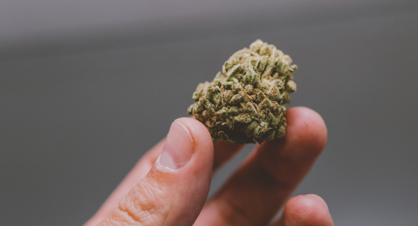 Massachusetts Cannabis Regulators&hellip;