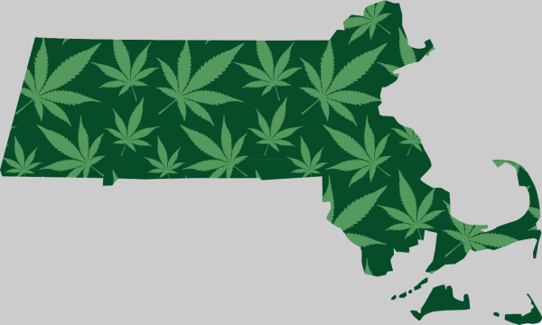 photo of New executive director named to Massachusetts Cannabis Control Commission image