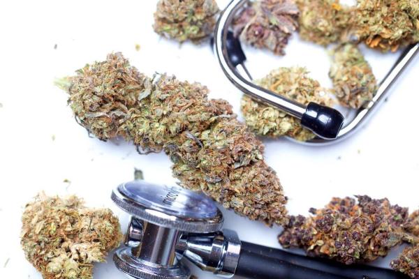 Greek Doctors Support Medical Marijuana…