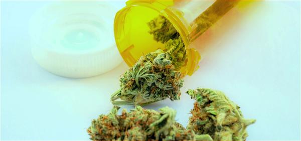 Kentucky Gov. Signs Order to Add 15 New…