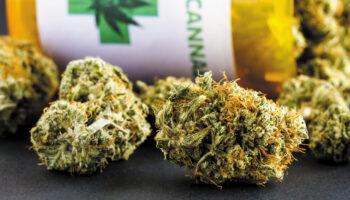 photo of Medical Marijuana Improves Chronic Pain And Mental Health, Reduces Prescription Drug Use image