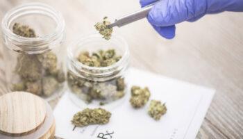 Research Unpacks Impact of Cannabis…