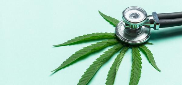photo of Report: Mississippi Cannabis Program Adding 50 Patient IDs Per Day image