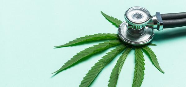 Georgia Lawmakers Pass Medical Cannabis&hellip;