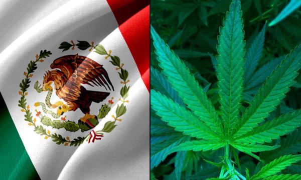 photo of Mexican Senators Circulate Draft Marijuana Legalization Bill, With Vote Expected Within Weeks image