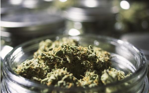 Michigan Legal Marijuana Sales Surpass&hellip;