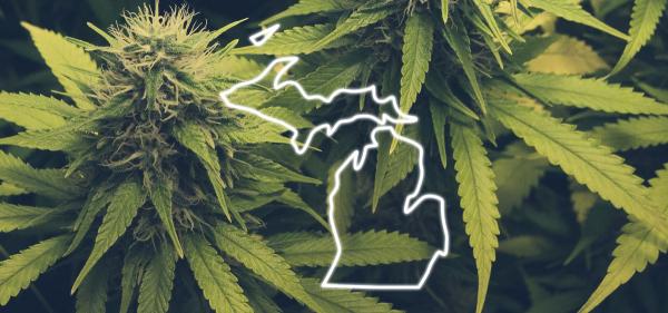 Michigan Revokes 20 Medical Cannabis…
