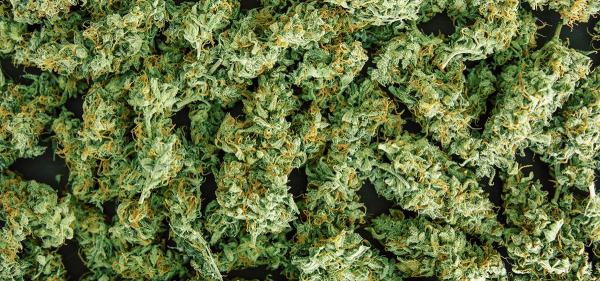Michigan Bill Seeks to Repeal 24%&hellip;