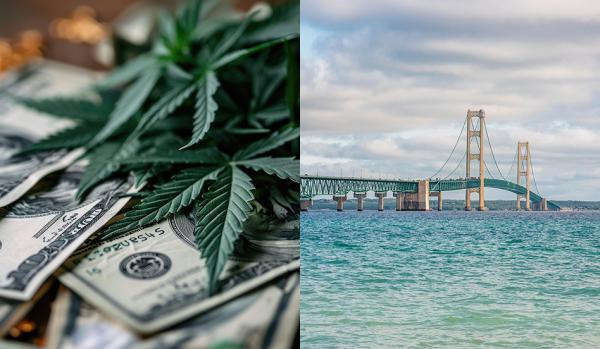 Michigan Lawmakers Pass 24% Cannabis…