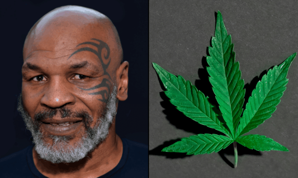 Mike Tyson Talks Marijuana With…