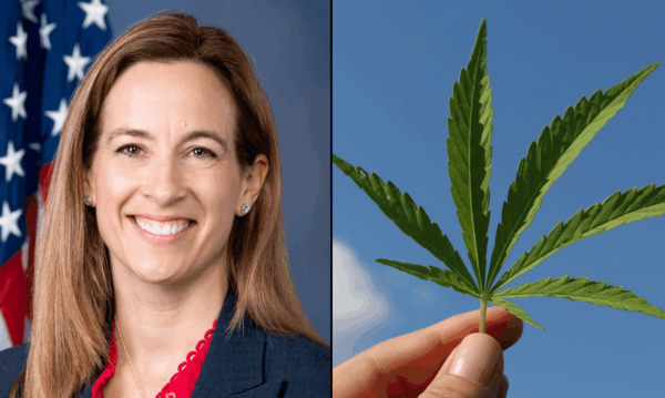 photo of New Jersey’s Incoming Governor Supports Legalizing Marijuana Home Cultivation image