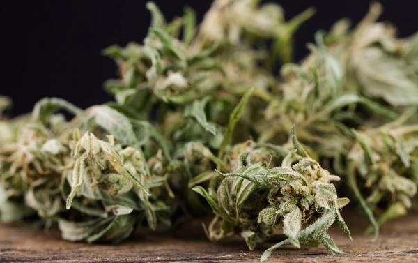 photo of Minnesota House Of Representatives To Vote On Complete Adult-Use Cannabis Bill HF 600 image