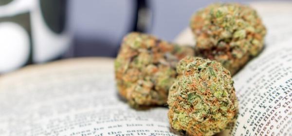 Massachusetts Cannabis Social Equity Trainings Set to Resume After Year-Long Delay