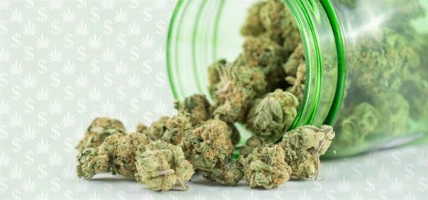 Licensed California Cannabis Sales Down 11% in Q1