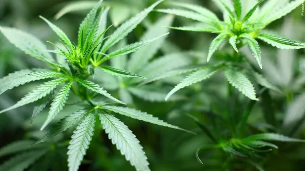 Missouri Adopts Final Rules for&hellip;