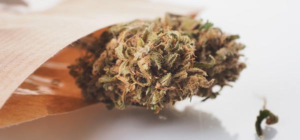 Deadline for New York Businesses to&hellip;