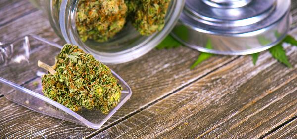 Study: Medical Cannabis Caregivers&hellip;
