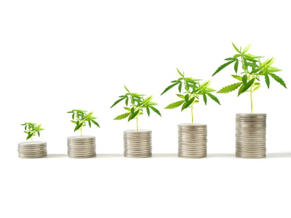 First-quarter cannabis industry sales…