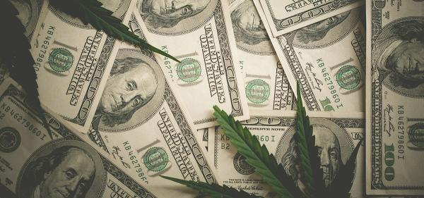 Minnesota Cannabis Licenses Hitting…