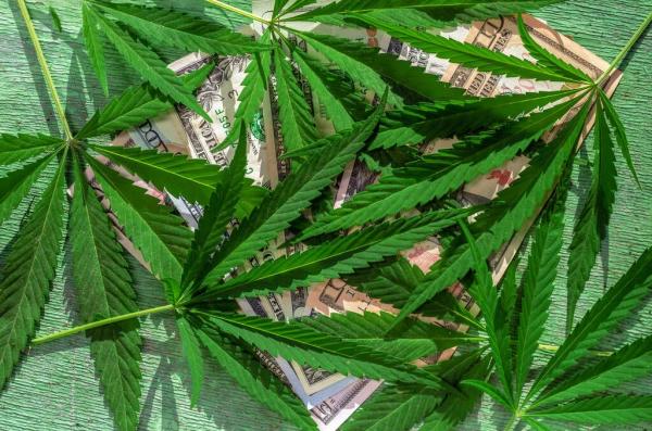 Montana Marijuana Sales Reach $29.2 Million in August, $221…