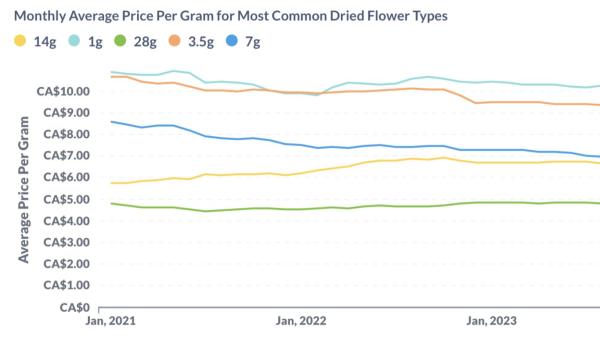 photo of Dried flower price outline August 2023 image