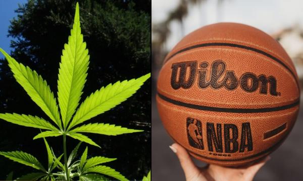 photo of Former NBA Player Says He Smoked Marijuana Before Interviewing Kamala Harris And Jokes He Might ‘Sneak Something In’… image