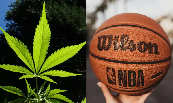 WNBA Removes Marijuana From Banned&hellip;