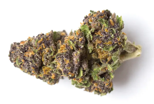 Cannabis Finance Executives React to&hellip;