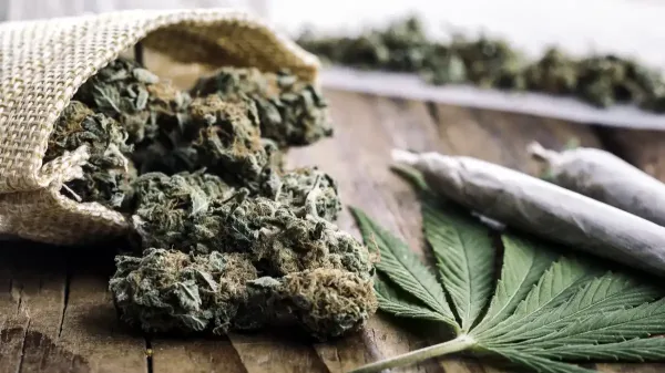 Nevada Marijuana Businesses Face…