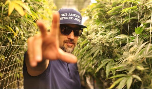 photo of How to Transform Your Grow with B-Real’s THC Controls image