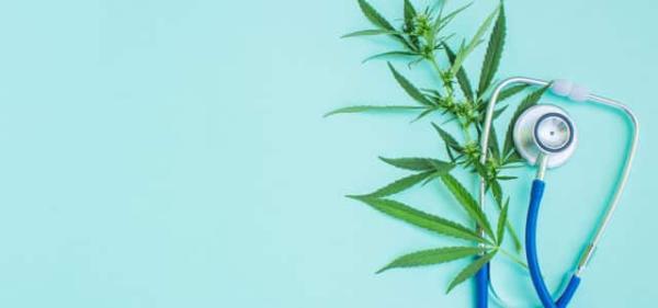 Hawaii Gov. Vetoes Medical Cannabis…