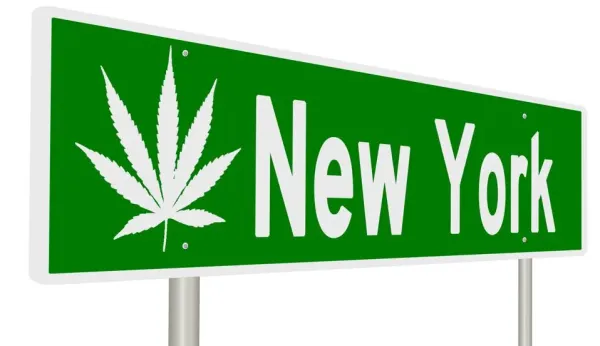 New York Dispensaries Just Lost Their…